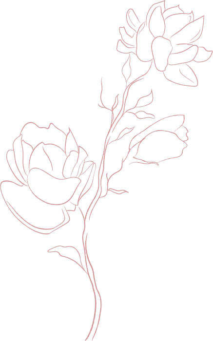Jasmine flower line drawing - The Aesthetic Edge